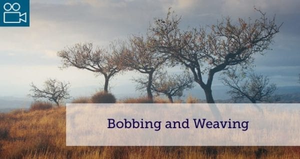 bobbing-and-weaving-craig-lounsbrough