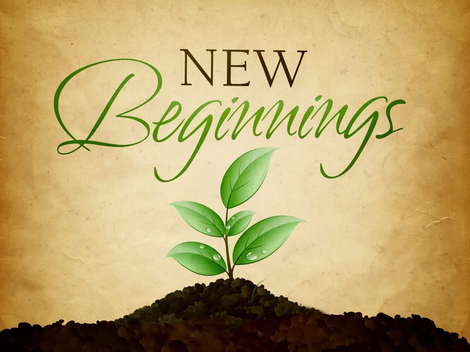 A new beginning for